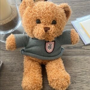 Toy Stuffed Animal Cozy Tan Teddy Bear with Green Sweater